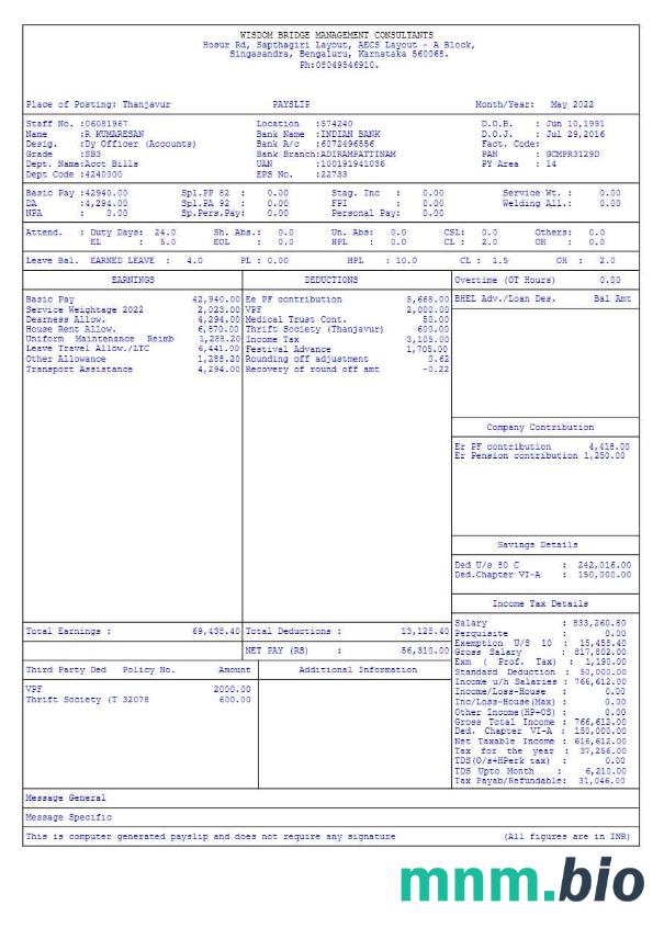 Szablon Wisdom Bridge Management Consultants payslip w formatach Word i PDF, 6